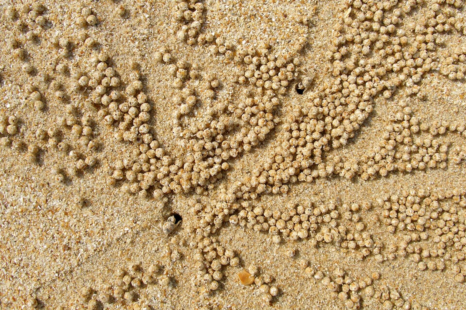 Koh Yao Noi gallery frame 1